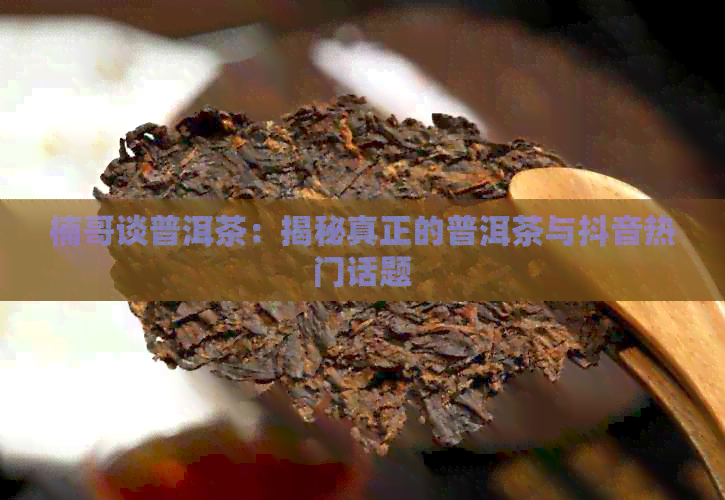 楠哥谈普洱茶：揭秘真正的普洱茶与抖音热门话题