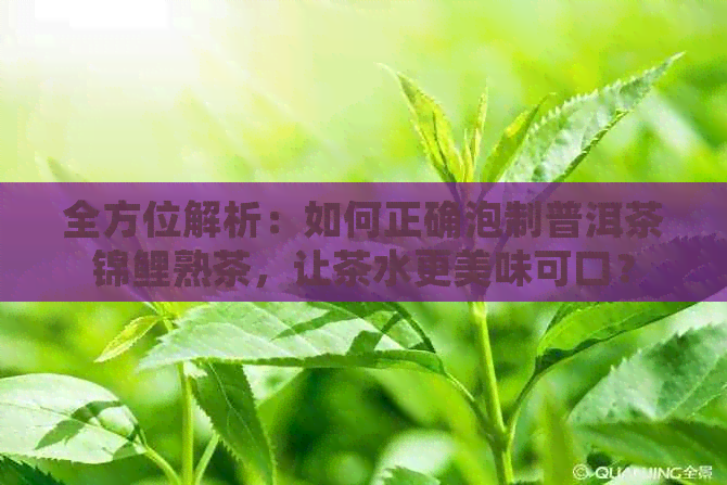 全方位解析：如何正确泡制普洱茶锦鲤熟茶，让茶水更美味可口？