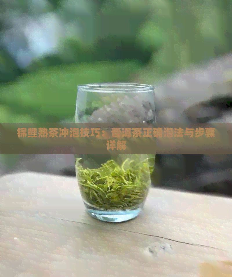 锦鲤熟茶冲泡技巧：普洱茶正确泡法与步骤详解