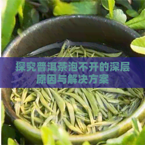 探究普洱茶泡不开的深层原因与解决方案