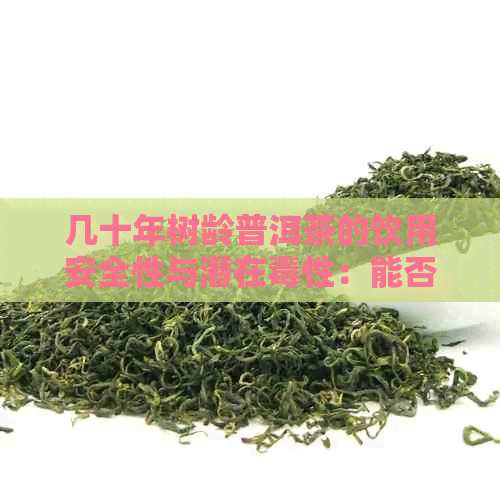 几十年树龄普洱茶的饮用安全性与潜在性：能否继续享用？