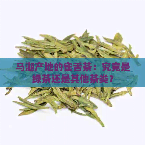 马湖产地的雀舌茶：究竟是绿茶还是其他茶类？