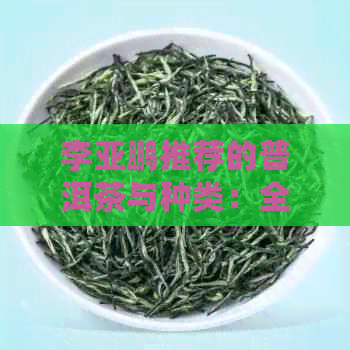 李亚鹏推荐的普洱茶与种类：全面解析，助您选购优质普洱茶