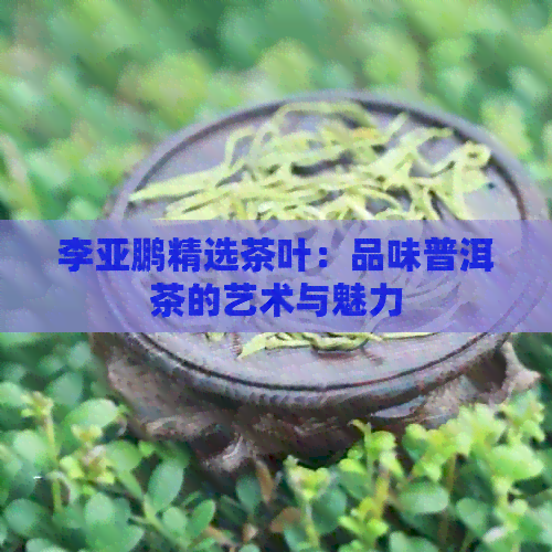 李亚鹏精选茶叶：品味普洱茶的艺术与魅力