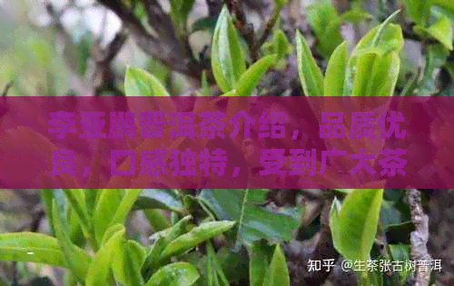 李亚鹏普洱茶介绍，品质优良，口感独特，受到广大茶友好评！