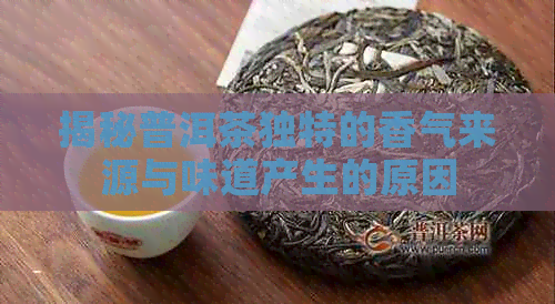 揭秘普洱茶独特的香气来源与味道产生的原因