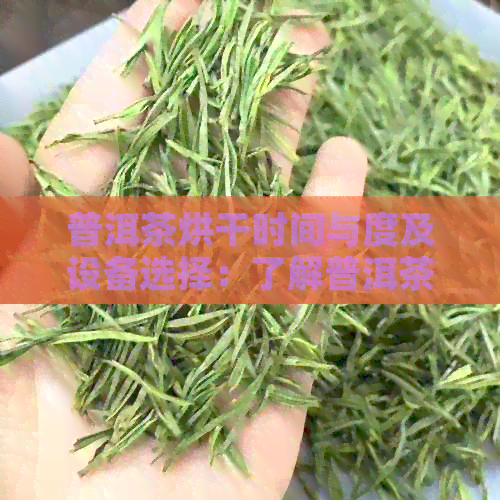 普洱茶烘干时间与度及设备选择：了解普洱茶烘干的要点