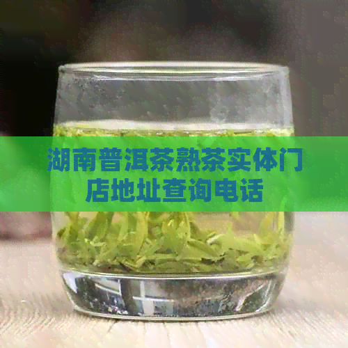 湖南普洱茶熟茶实体门店地址查询电话