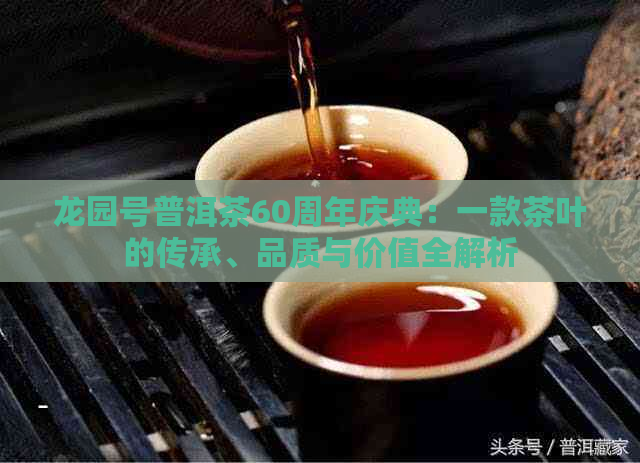 龙园号普洱茶60周年庆典：一款茶叶的传承、品质与价值全解析