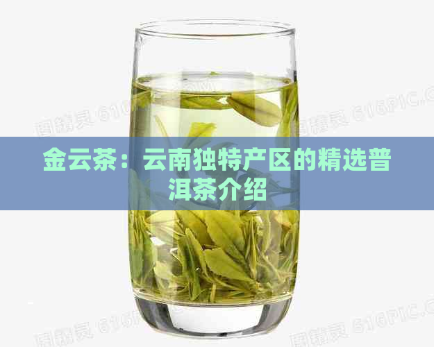 金云茶：云南独特产区的精选普洱茶介绍