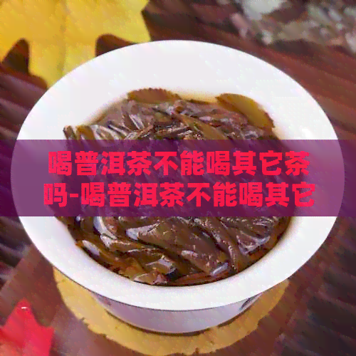 喝普洱茶不能喝其它茶吗-喝普洱茶不能喝其它茶吗为什么