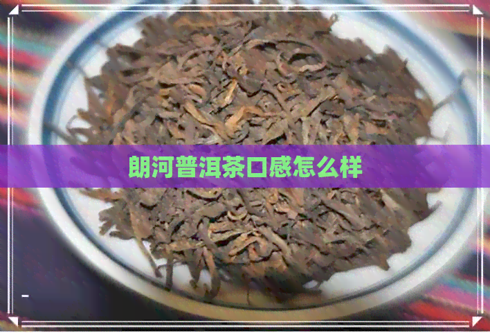 朗河普洱茶口感怎么样