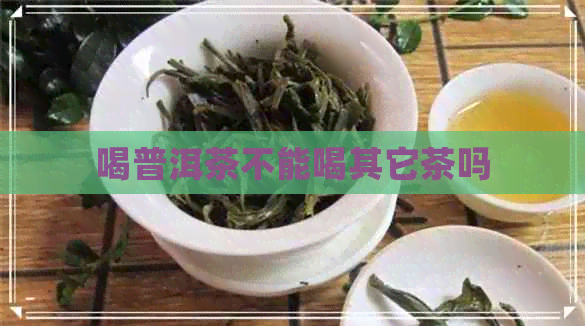 喝普洱茶不能喝其它茶吗