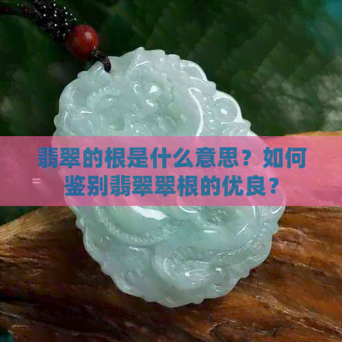 翡翠的根是什么意思？如何鉴别翡翠翠根的优良？