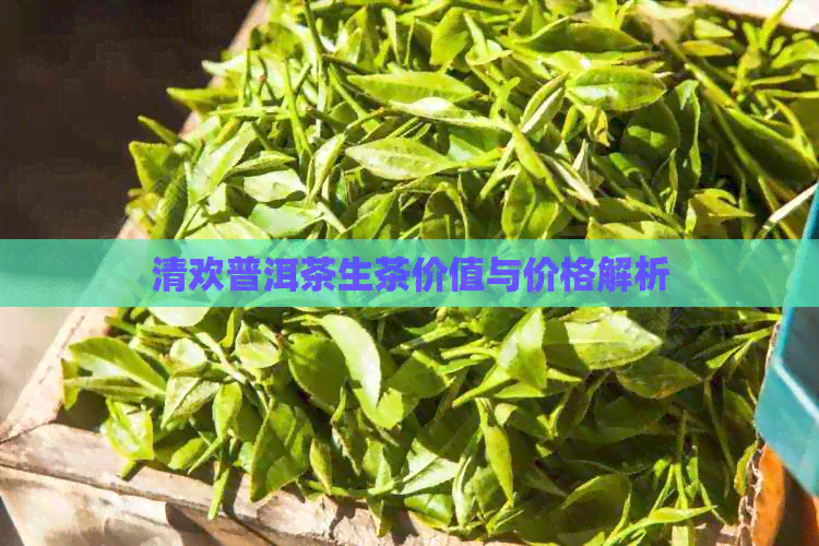 清欢普洱茶生茶价值与价格解析