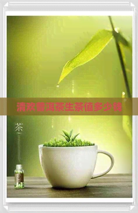 清欢普洱茶生茶值多少钱