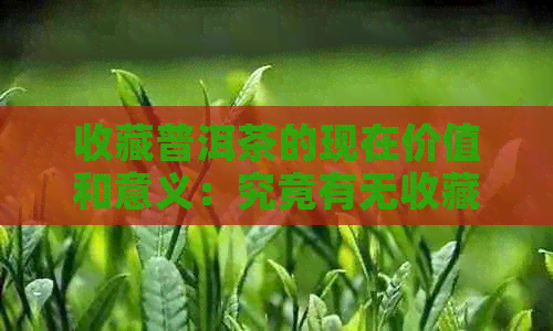 收藏普洱茶的现在价值和意义：究竟有无收藏价值？