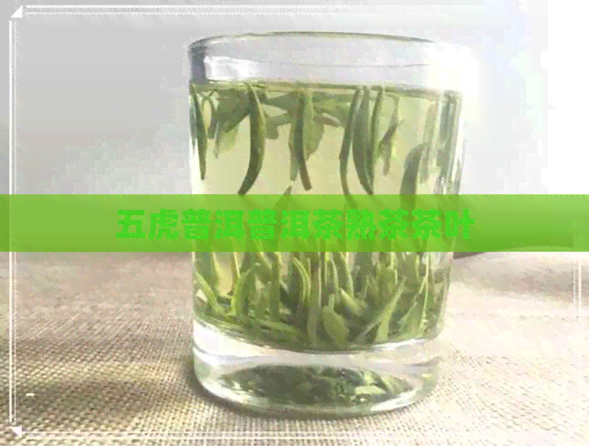 五虎普洱普洱茶熟茶茶叶