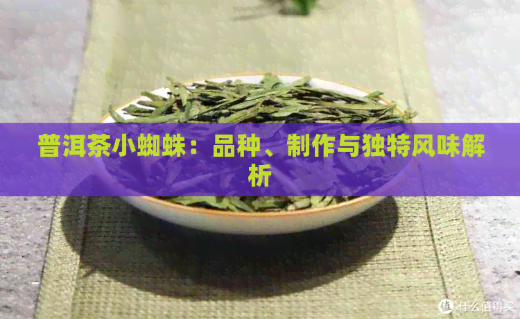 普洱茶小蜘蛛：品种、制作与独特风味解析