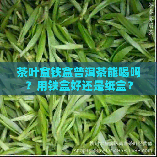 茶叶盒铁盒普洱茶能喝吗？用铁盒好还是纸盒？