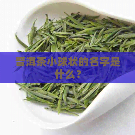 普洱茶小球状的名字是什么？