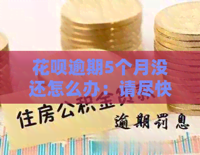 花呗逾期5个月没还怎么办：请尽快还清欠款，避免影响个人信用记录。