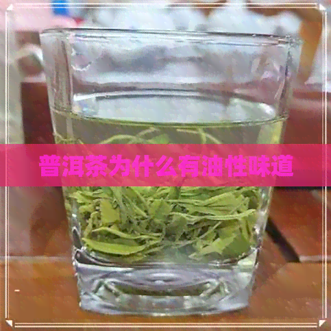 普洱茶为什么有油性味道