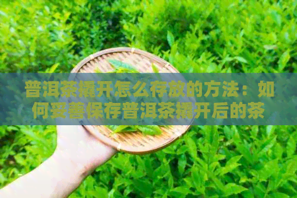 普洱茶撬开怎么存放的方法：如何妥善保存普洱茶撬开后的茶叶？