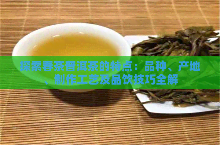 探索春茶普洱茶的特点：品种、产地、制作工艺及品饮技巧全解