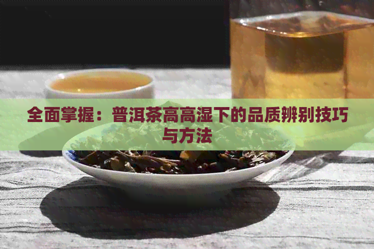 全面掌握：普洱茶高高湿下的品质辨别技巧与方法