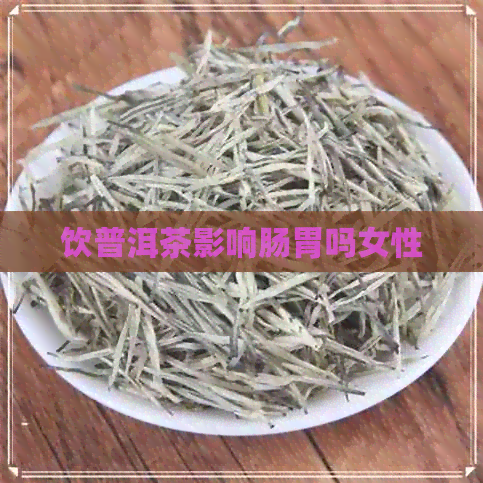 饮普洱茶影响肠胃吗女性