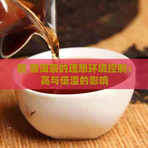 新 普洱茶的理想环境控制：高与低湿的影响