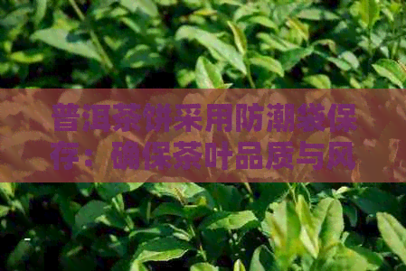 普洱茶饼采用防潮袋保存：确保茶叶品质与风味的可行之道