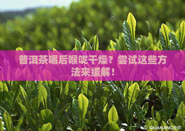 普洱茶喝后喉咙干燥？尝试这些方法来缓解！