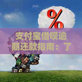 支付宝借呗逾期还款指南：了解逾期费用并及时完成还款操作