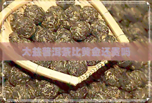 大益普洱茶比黄金还贵吗