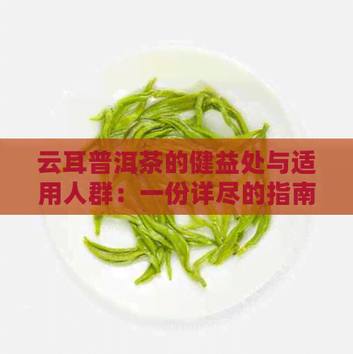 云耳普洱茶的健益处与适用人群：一份详尽的指南