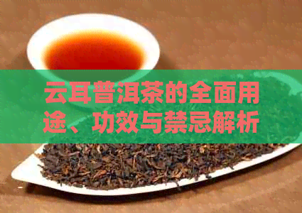 云耳普洱茶的全面用途、功效与禁忌解析，让您更好地了解和使用这种茶