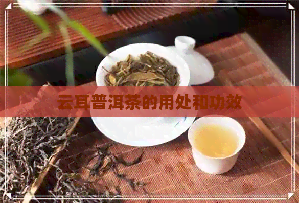 云耳普洱茶的用处和功效