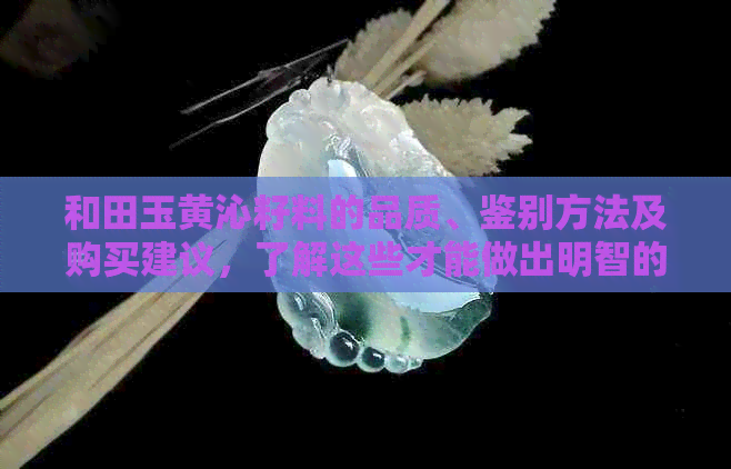 和田玉黄沁籽料的品质、鉴别方法及购买建议，了解这些才能做出明智的选择