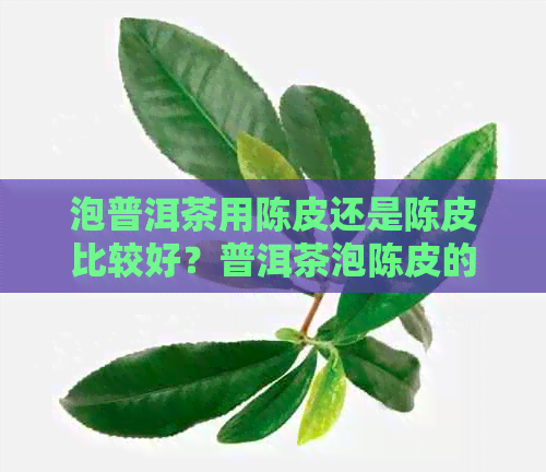 泡普洱茶用陈皮还是陈皮比较好？普洱茶泡陈皮的功效与作用