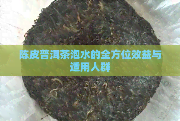 陈皮普洱茶泡水的全方位效益与适用人群