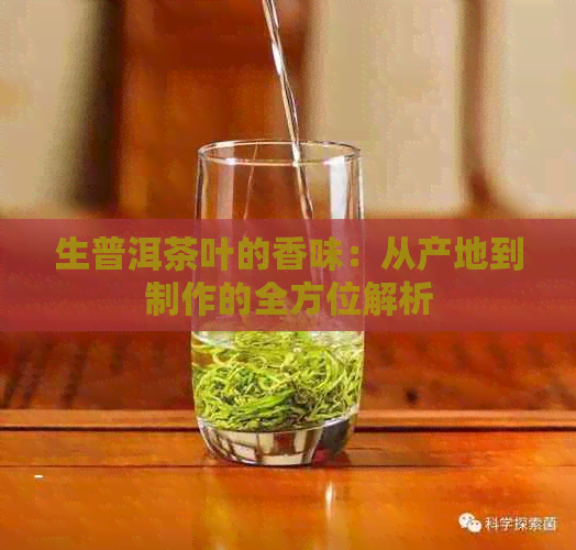 生普洱茶叶的香味：从产地到制作的全方位解析