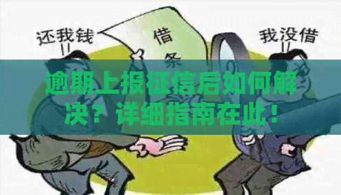 逾期上报后如何解决？详细指南在此！