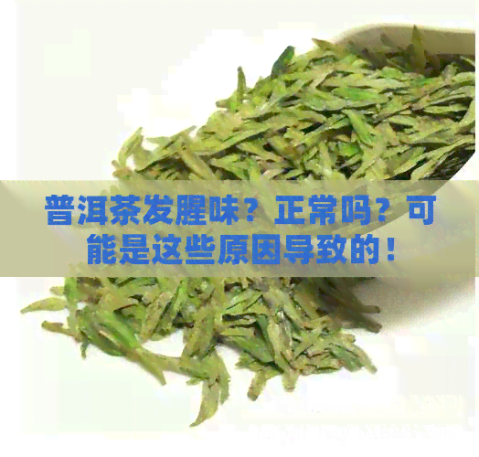 普洱茶发腥味？正常吗？可能是这些原因导致的！