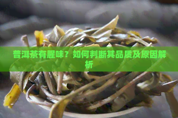 普洱茶有腥味？如何判断其品质及原因解析