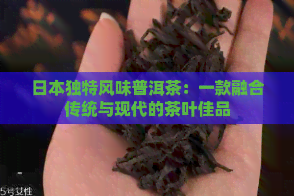 独特风味普洱茶：一款融合传统与现代的茶叶佳品