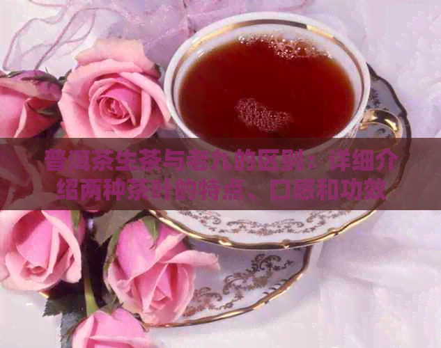 普洱茶生茶与老九的区别：详细介绍两种茶叶的特点、口感和功效