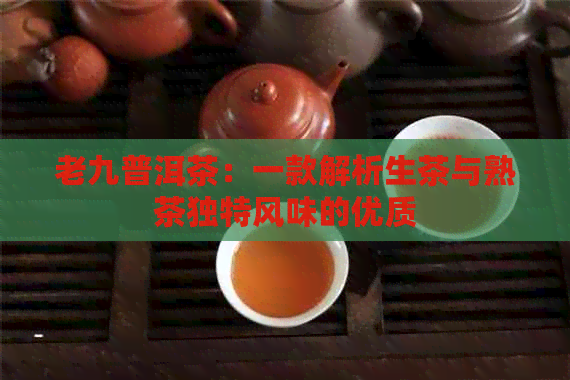 老九普洱茶：一款解析生茶与熟茶独特风味的优质