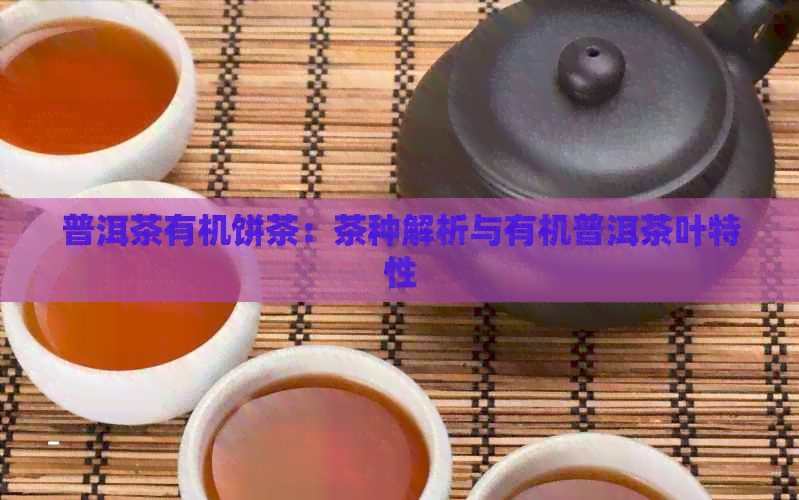 普洱茶有机饼茶：茶种解析与有机普洱茶叶特性